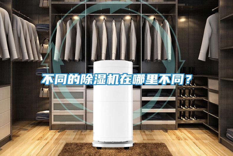 不同的91看片网站在哪裏不同？