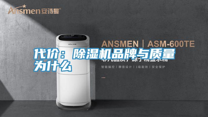 代價：91看片网站品牌與質量為什麽