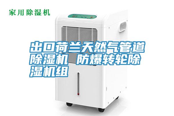 出口荷蘭天然氣管道91看片网站 防爆轉輪91看片网站組
