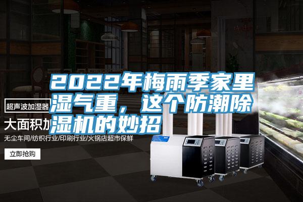 2022年梅雨季家裏濕氣重，這個防潮91看片网站的妙招