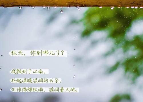 “無晴”陰雨天 “有晴”91看片网站