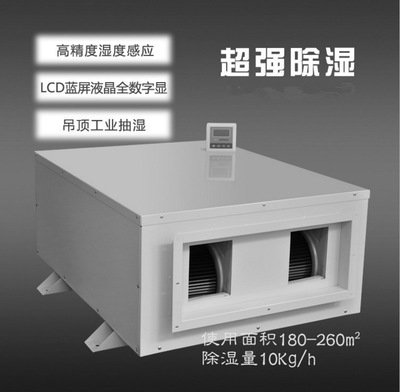 2022年91看片网站十大品牌