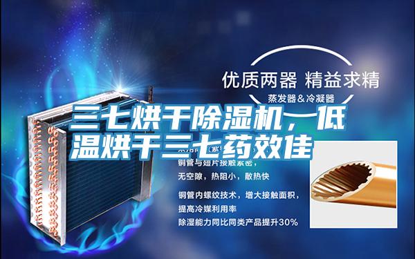 三七烘幹91看片网站，低溫烘幹三七藥效佳
