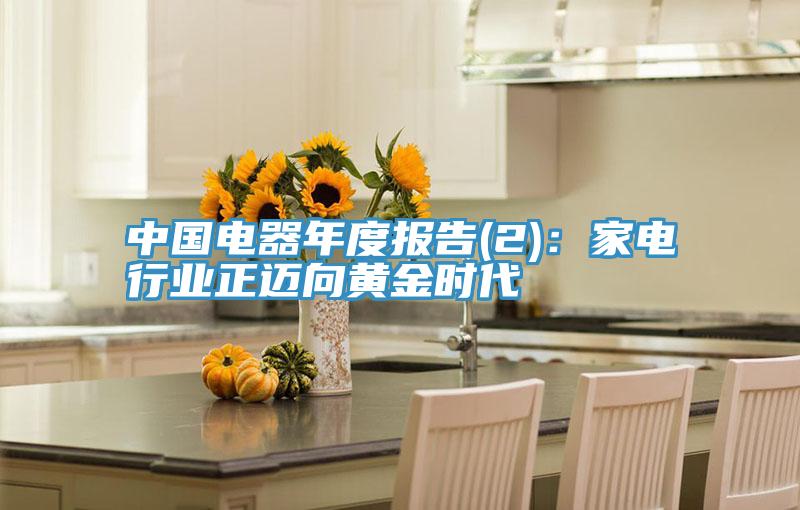 中國電器年度報告(2)：家電行業正邁向黃金時代