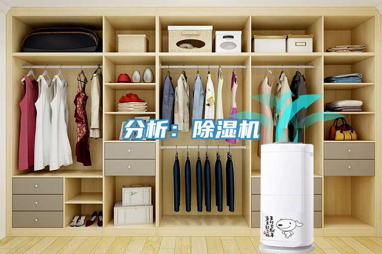 分析：91看片网站