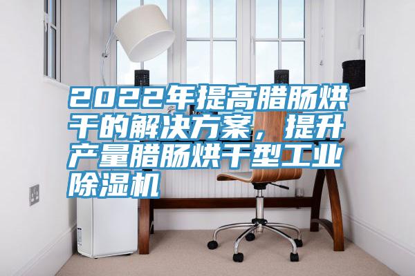 2022年提高臘腸烘幹的解決方案，提升產量臘腸烘幹型工業91看片网站