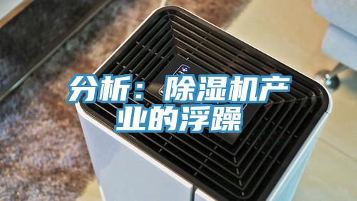 分析：91看片网站產業的浮躁