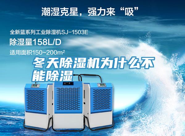 冬天91看片网站為什麽不能除濕