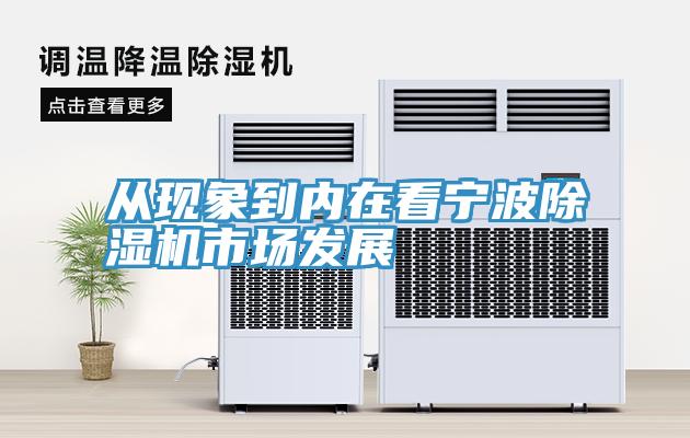 從現象到內在看寧波91看片网站市場發展
