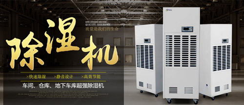 智能91看片网站