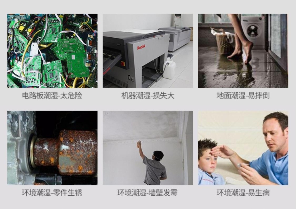 智能91看片网站