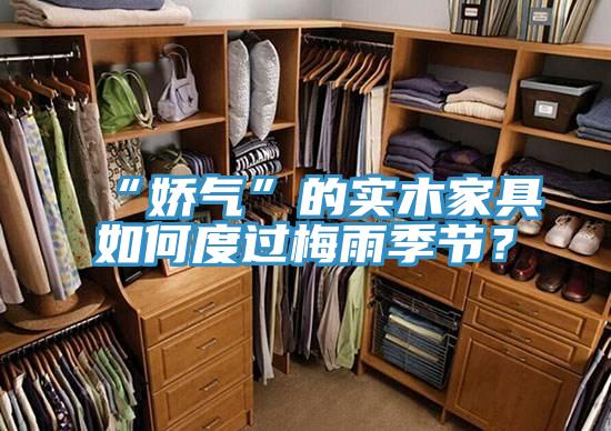 “嬌氣”的實木家具如何度過梅雨季節？