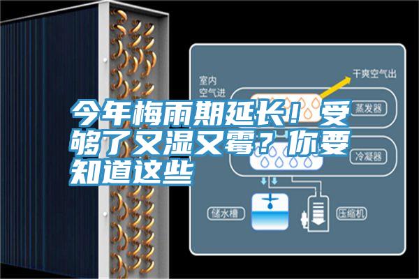 今年梅雨期延長！受夠了又濕又黴？你要知道這些