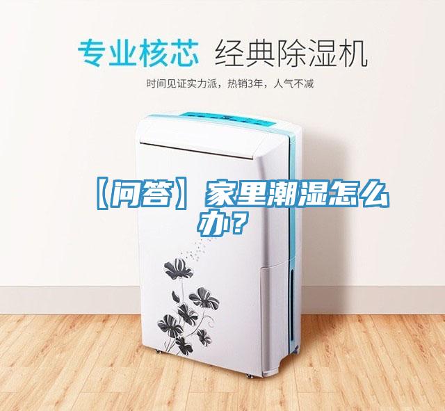 【問答】家裏潮濕怎麽辦？