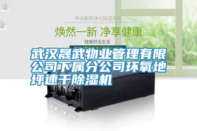 武漢晟武物業管理有限公司下屬分公司環氧地坪速幹91看片网站