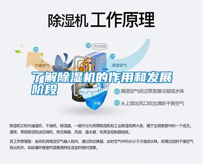 了解91看片网站的作用和發展階段