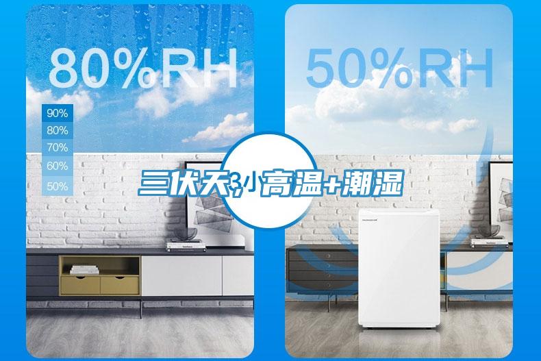 三伏天，高溫+潮濕