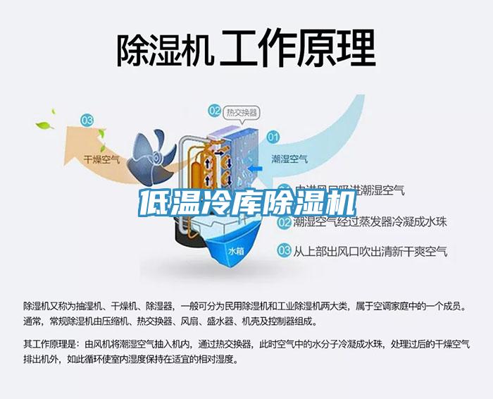 低溫冷庫91看片网站