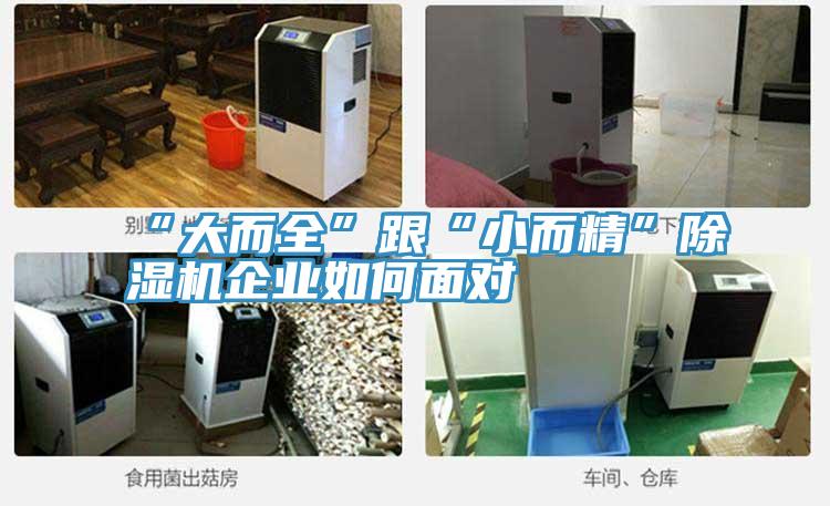 “大而全”跟“小而精”91看片网站企業如何麵對