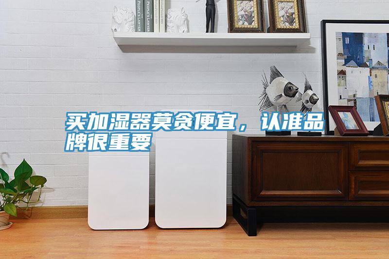買加濕器莫貪便宜，認準品牌很重要