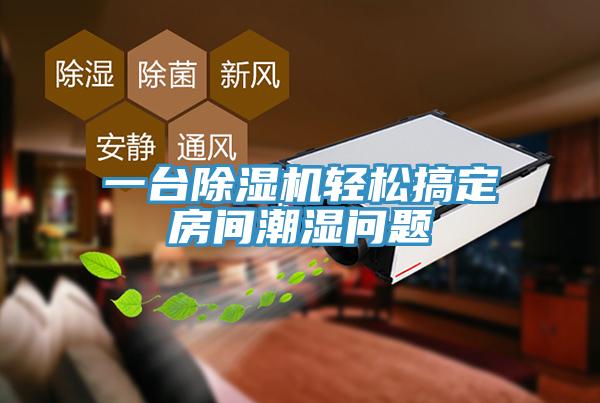 一台91看片网站輕鬆搞定房間潮濕問題