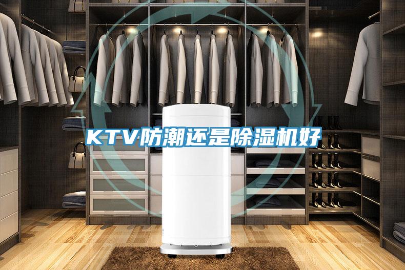 KTV防潮還是91看片网站好