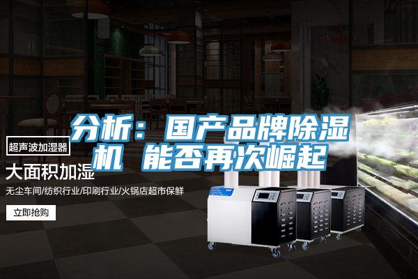 分析：國產品牌91看片网站 能否再次崛起