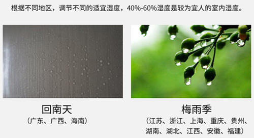 防潮91看片网站