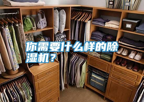 你需要什麽樣的91看片网站？