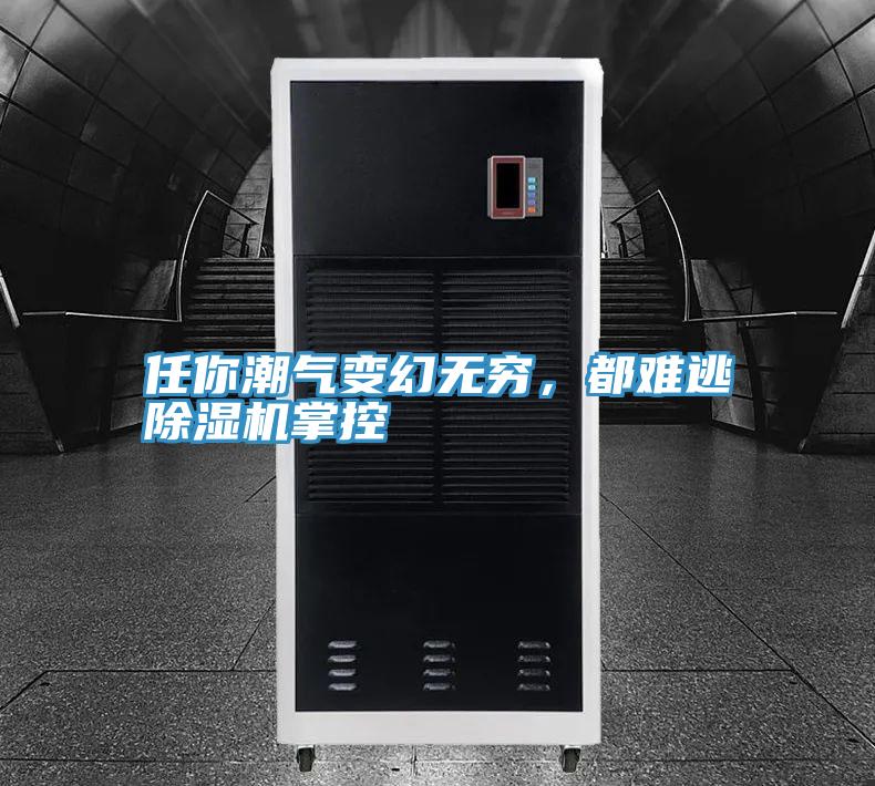 任你潮氣變幻無窮，都難逃91看片网站掌控