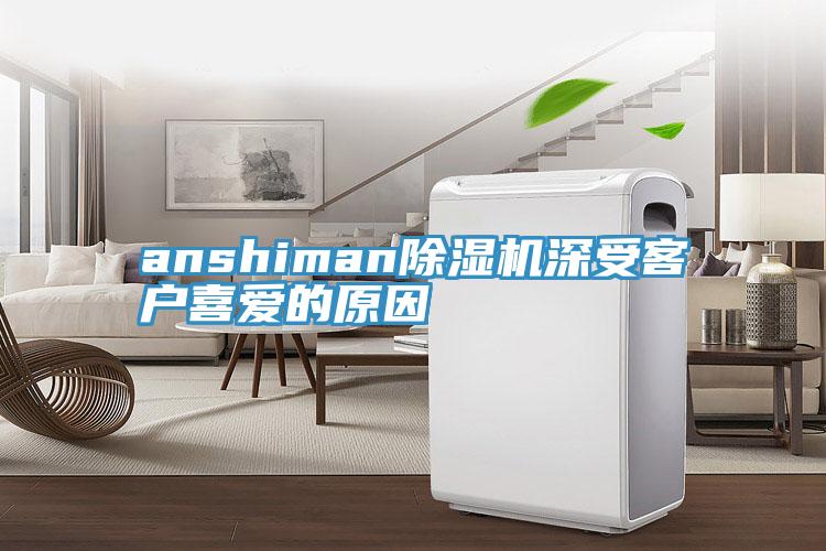 anshiman91看片网站深受客戶喜愛的原因