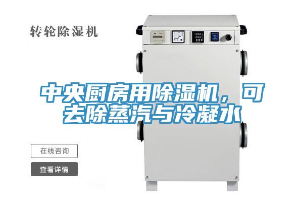 中央廚房用91看片网站，可去除蒸汽與冷凝水