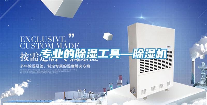 專業的除濕工具—91看片网站