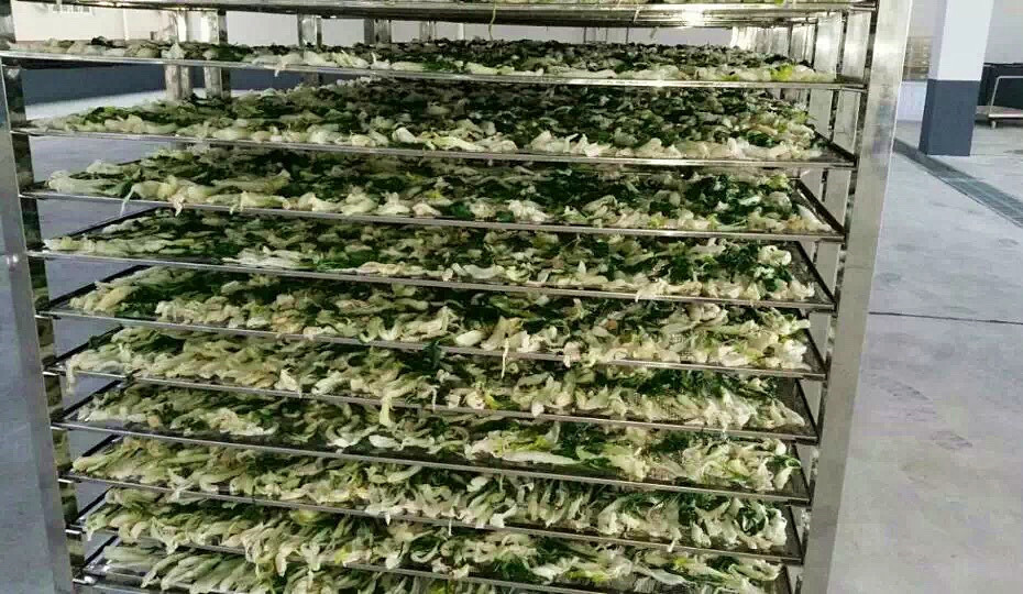 菜幹需求一直都很大，蔬菜烘幹機很有市場