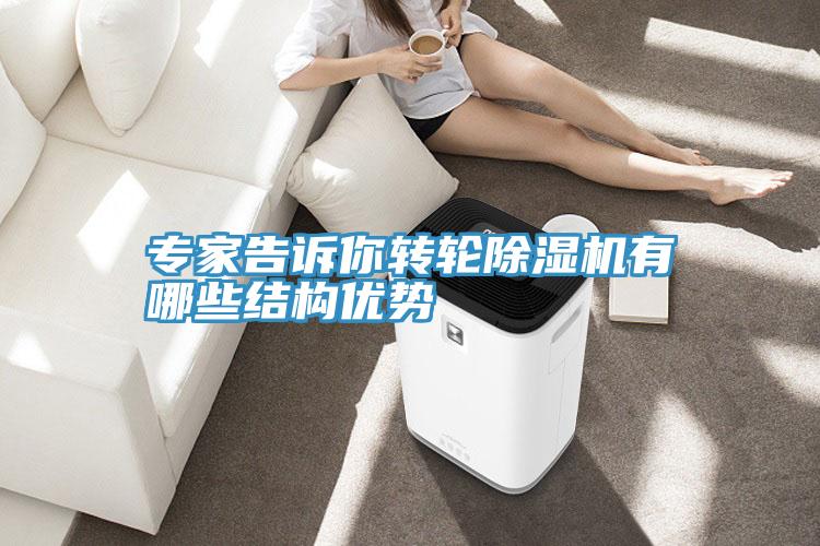 專家告訴你轉輪91看片网站有哪些結構優勢