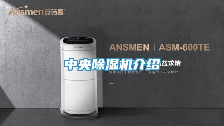 中央91看片网站介紹