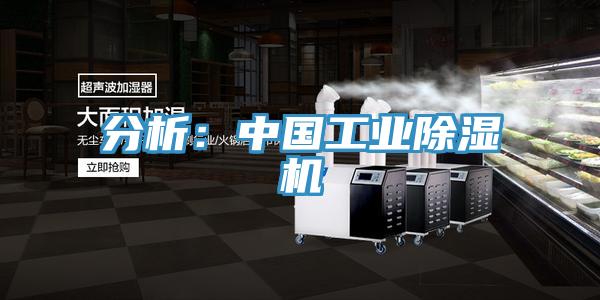 分析：中國工業91看片网站