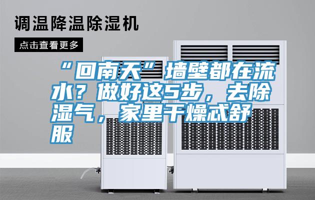 “回南天”牆壁都在流水？做好這5步，去除濕氣，家裏幹燥忒舒服