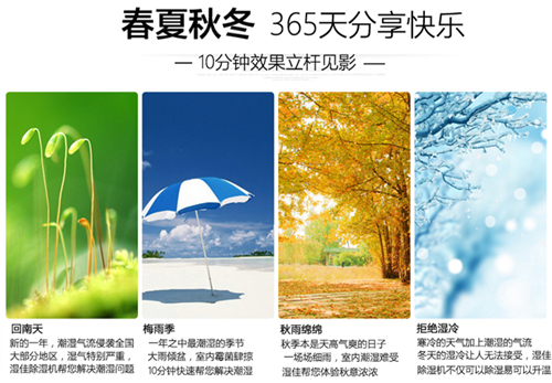 智能91看片网站
