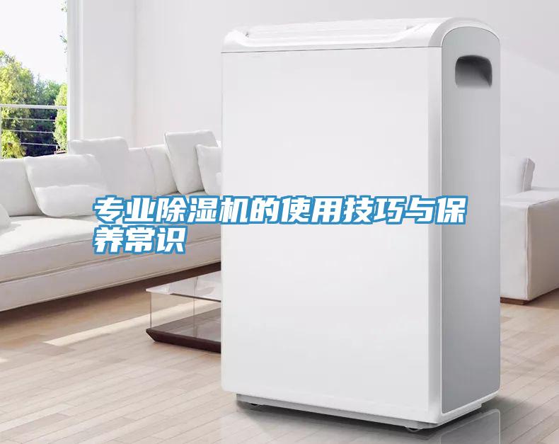 專業91看片网站的使用技巧與保養常識
