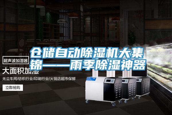 倉儲自動91看片网站大集錦——雨季除濕神器
