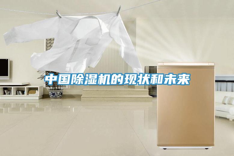 中國91看片网站的現狀和未來