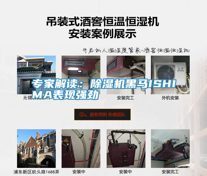 專家解讀：91看片网站黑馬ISHIMA表現強勁
