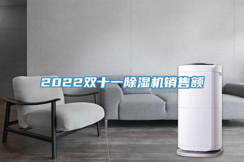 2022雙十一91看片网站銷售額