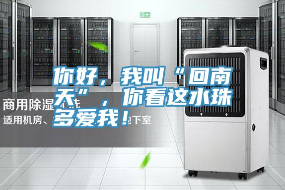 你好，我叫“回南天”，你看這水珠多愛我！