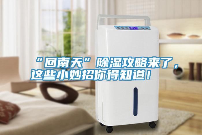 “回南天”除濕攻略來了，這些小妙招你得知道！