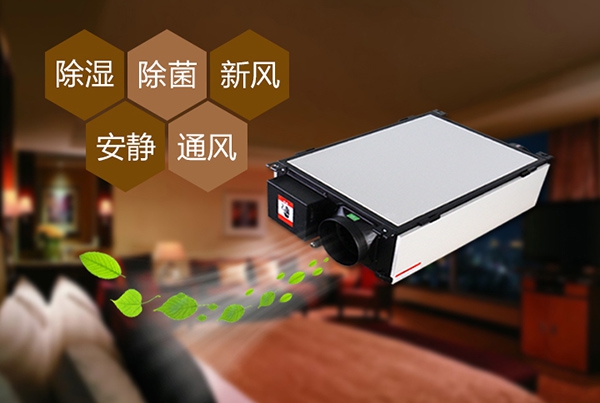 分享：聖誕經濟未火就涼 超聲波加濕器廠家如何做好網絡營銷