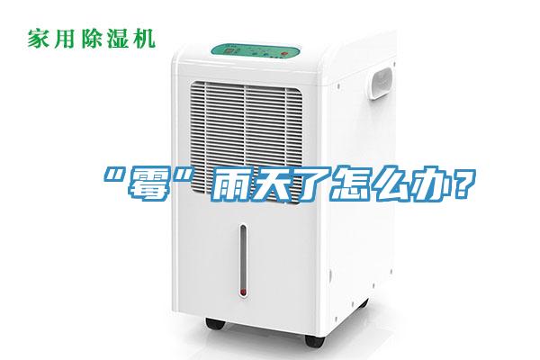 “黴”雨天了怎麽辦？