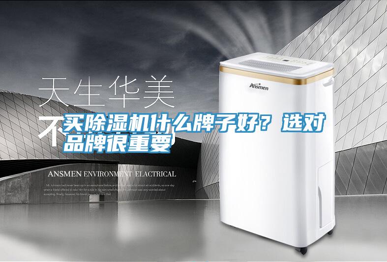 買91看片网站什麽牌子好？選對品牌很重要