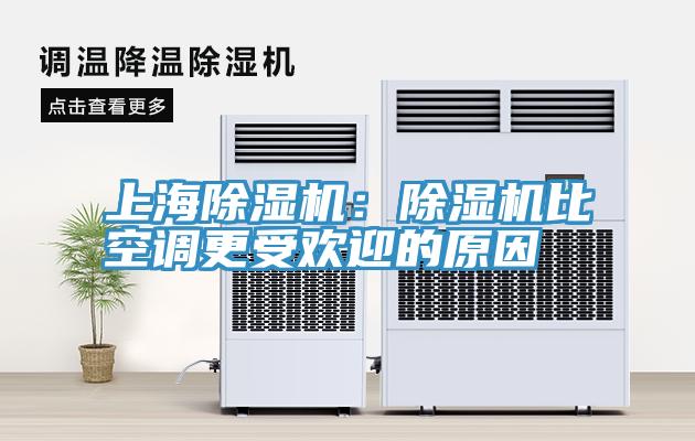 上海91看片网站：91看片网站比空調更受歡迎的原因
